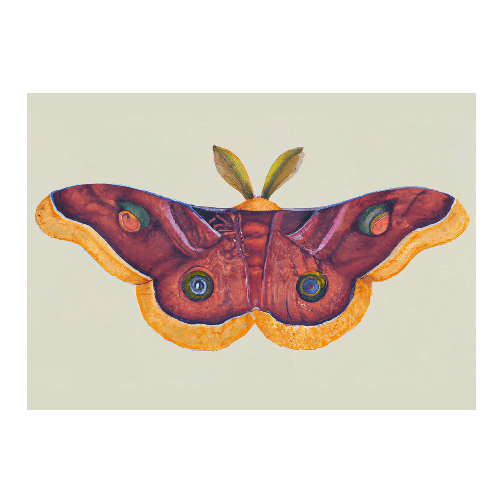 Butterfly Effect