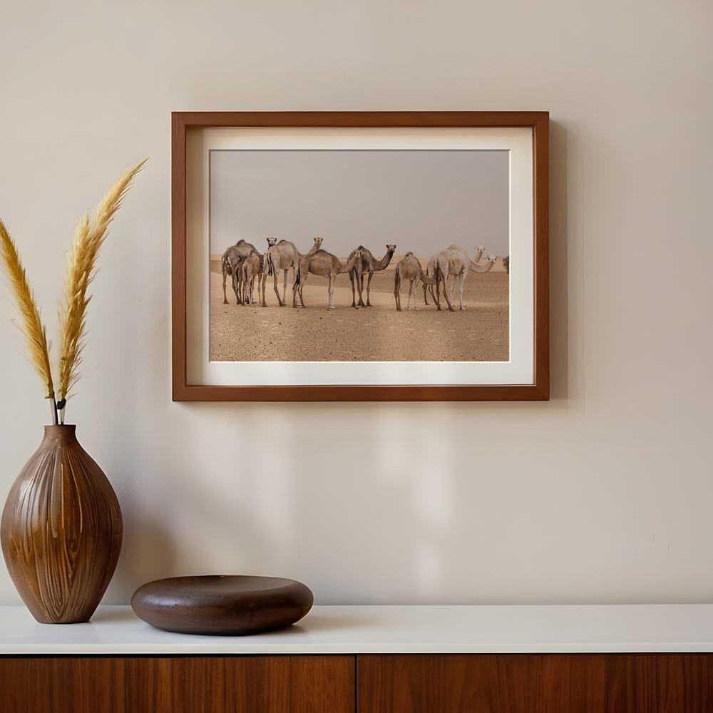 Camels In The Sahara