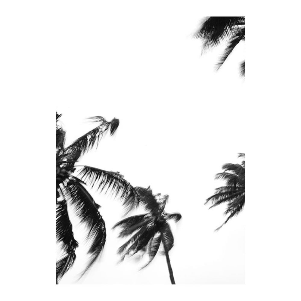Coco Island IV