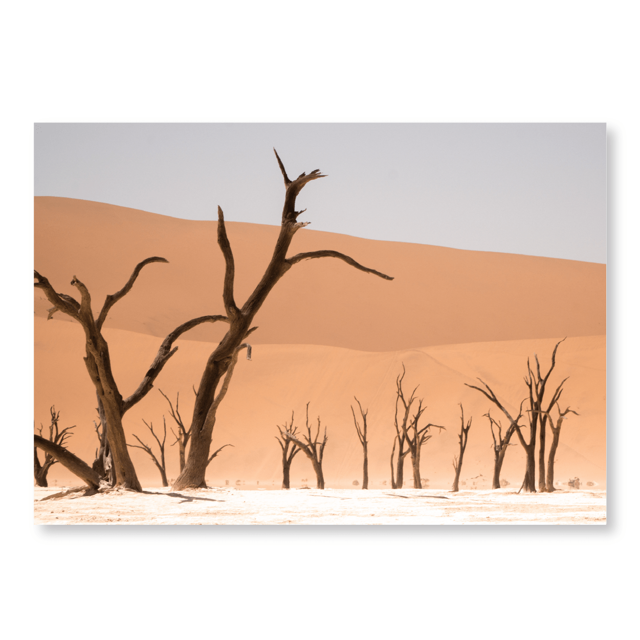 Copy of Pillars - Jasper & Jute