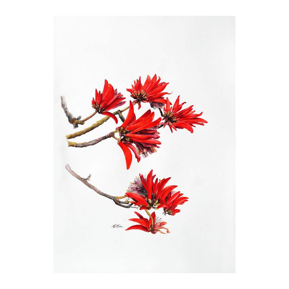 Coral Tree II