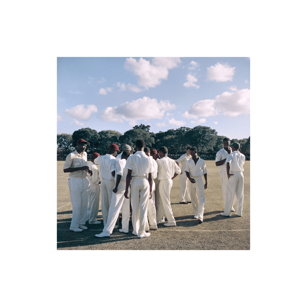 Cricket In Antigua