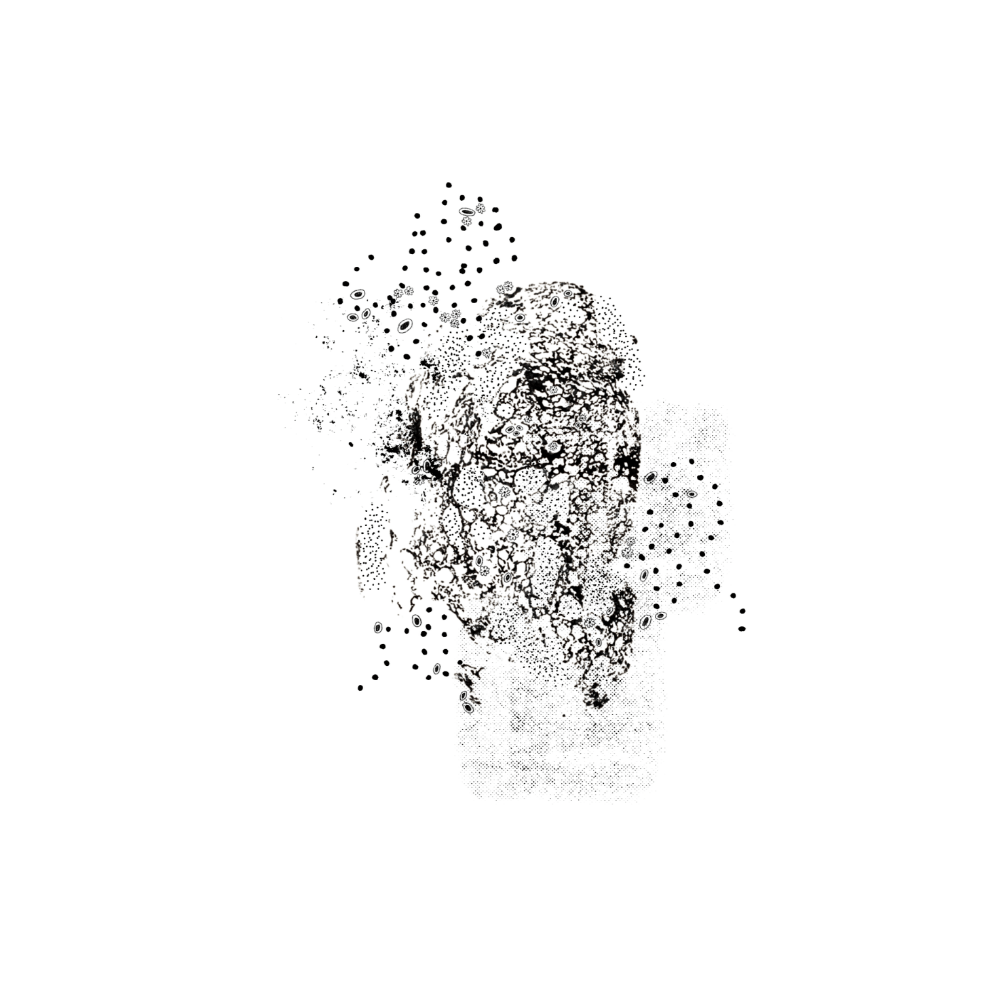 Crumbs Of Memory