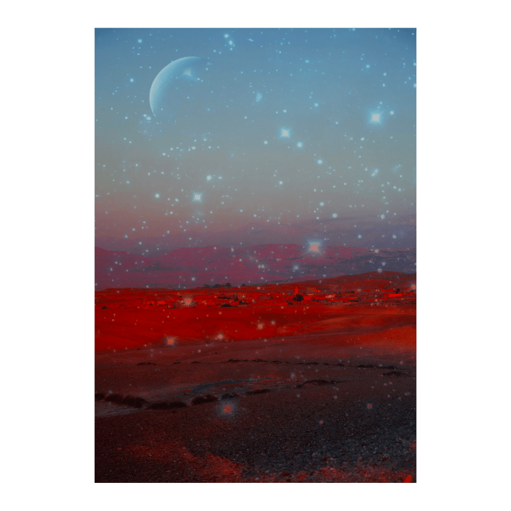 Desert Cosmos