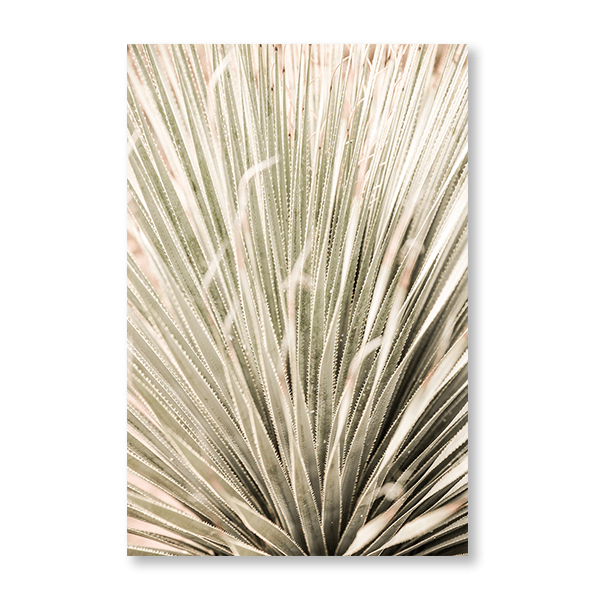 Desert Spoon - Jasper & Jute