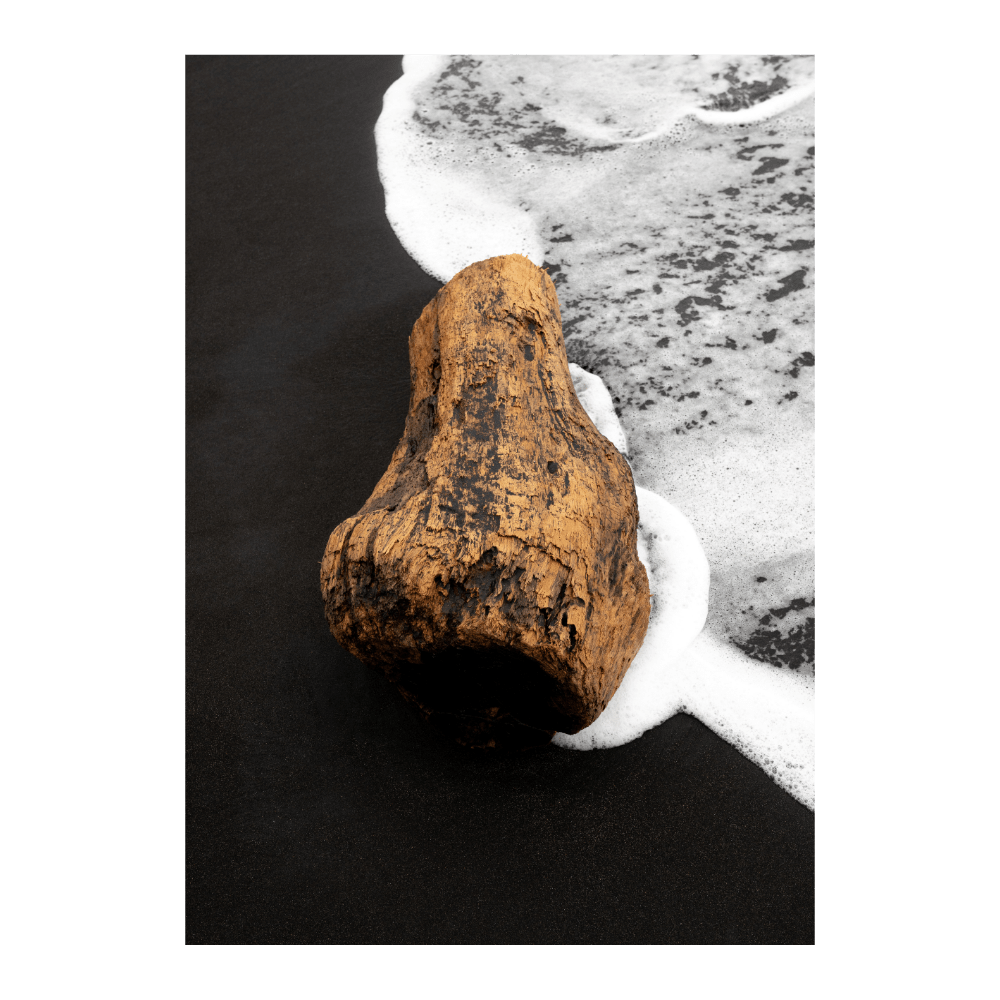 Drift Wood