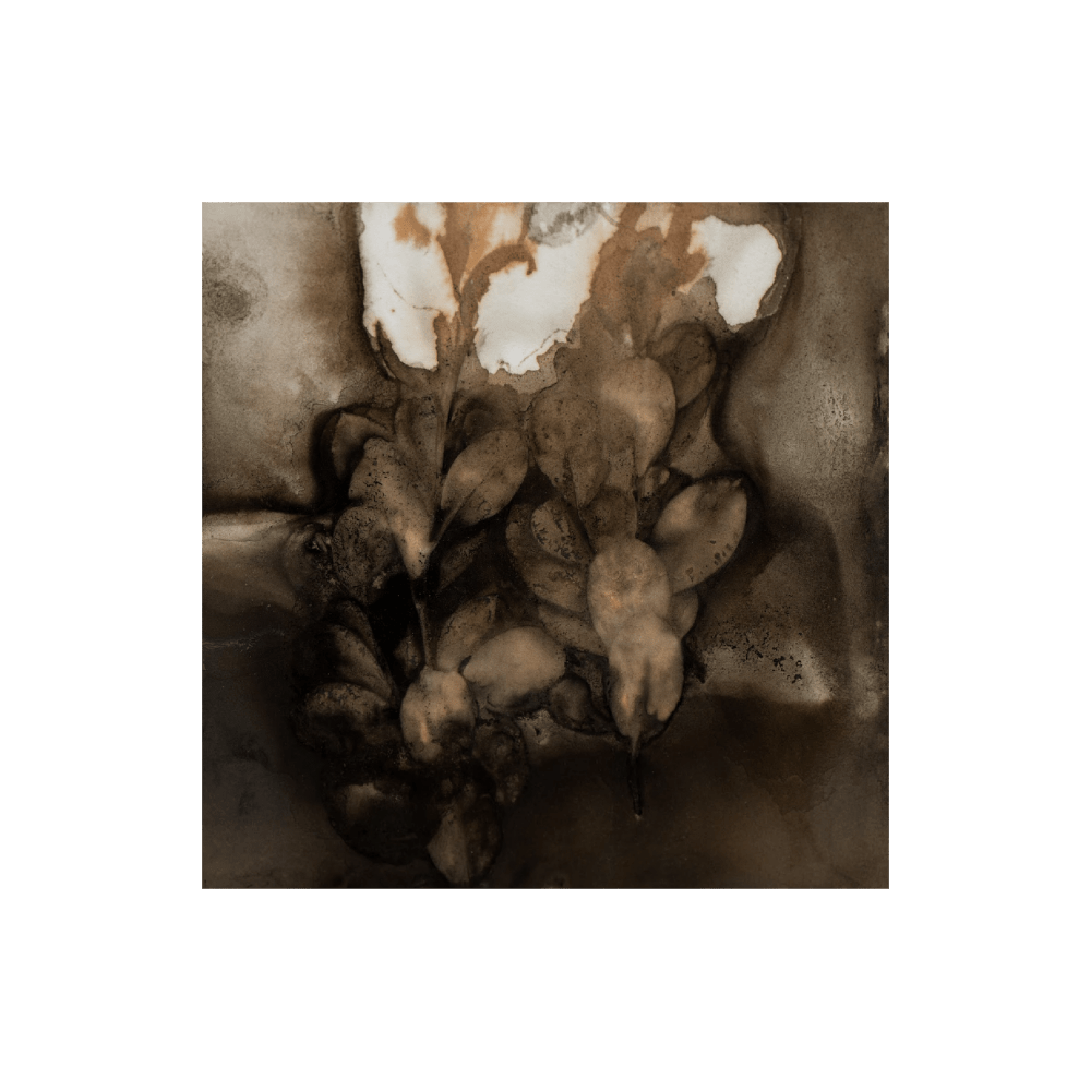 Echoed Rhythms III