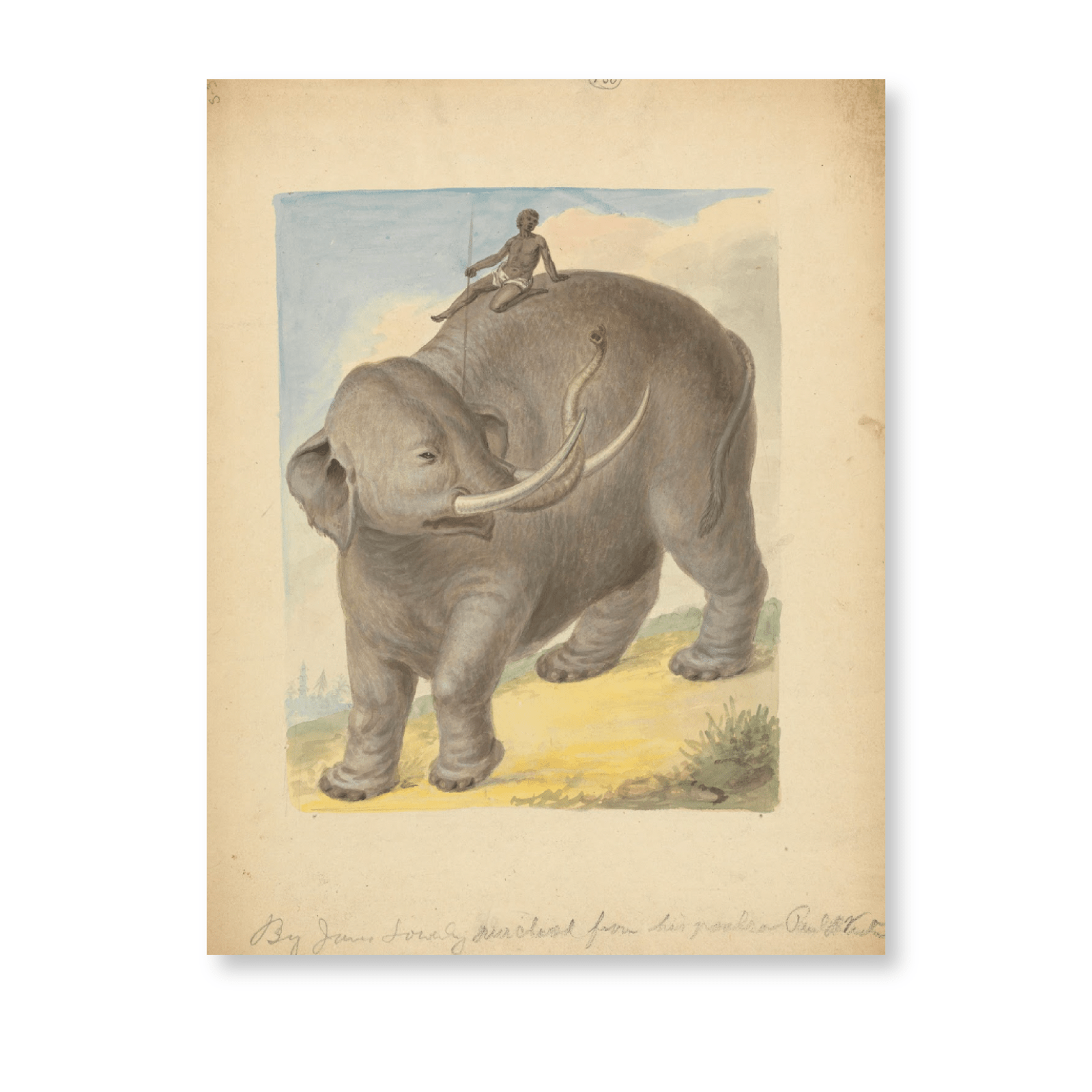 Elephant With Rider - Jasper & Jute