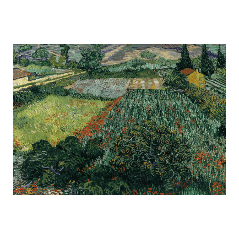 Van Gogh: "Field with Poppies (1889)"