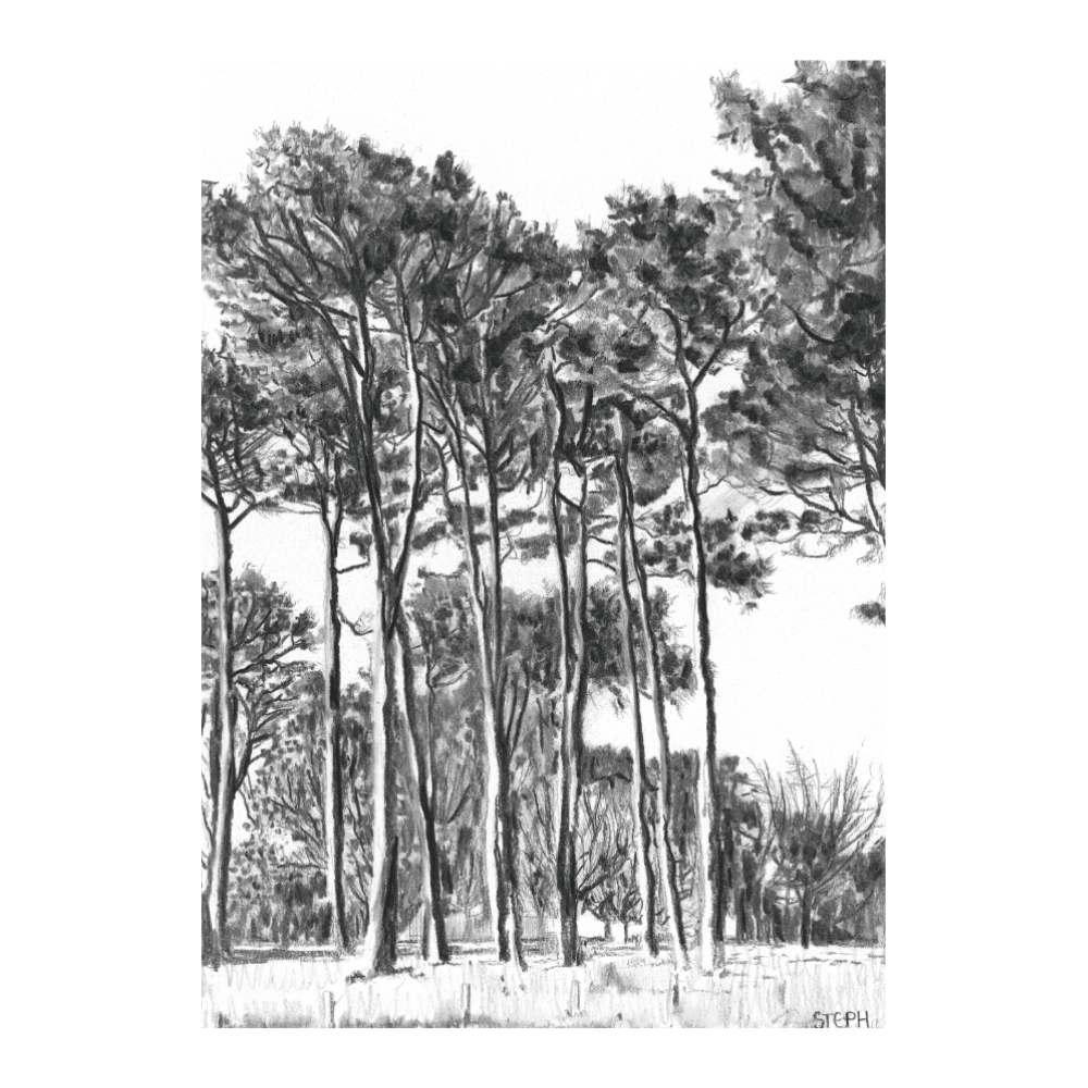 Keurboom I