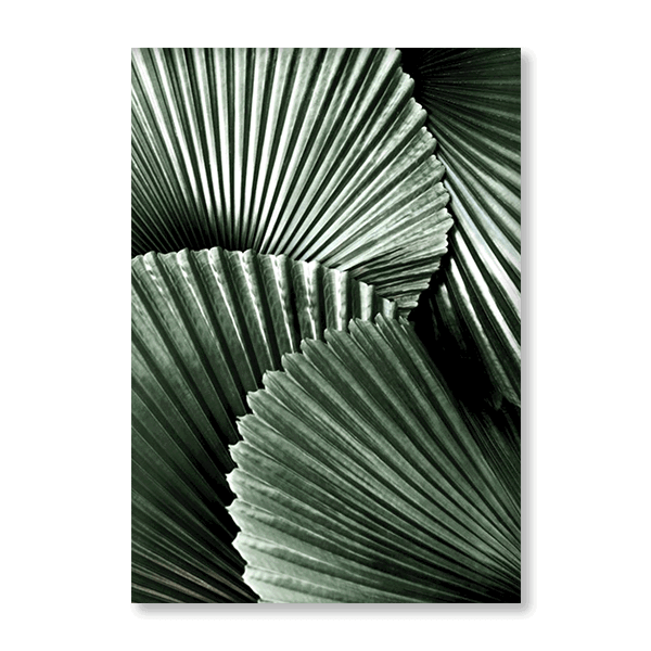 Fanned Frons - Jasper & Jute