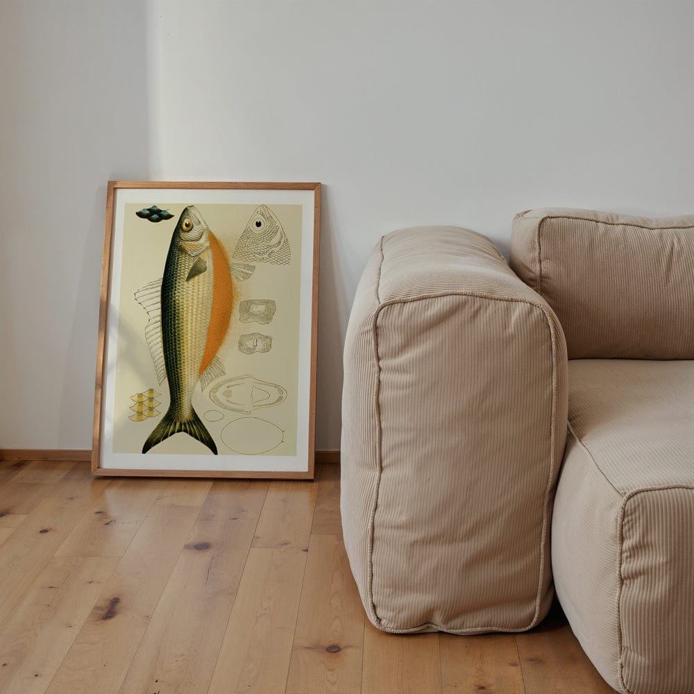 Fishes IX (1885 1890)
