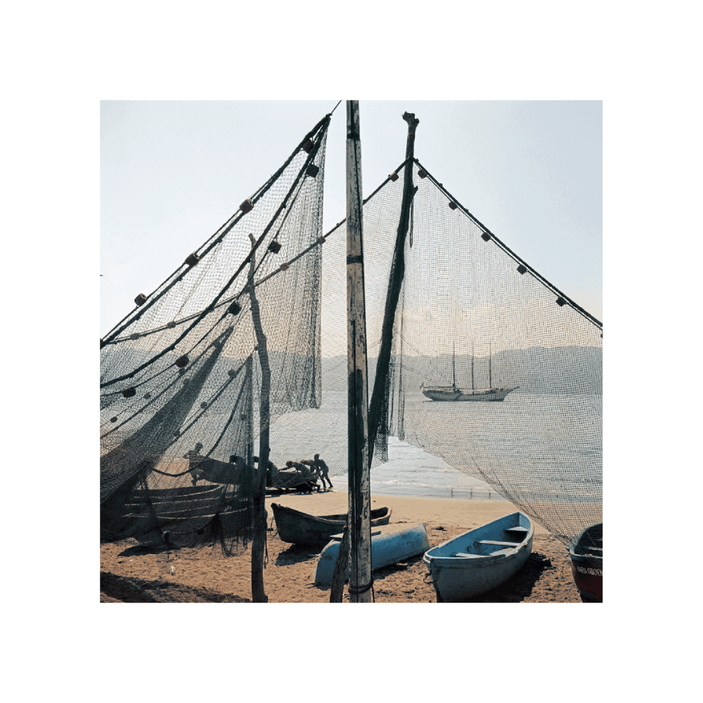 Fishing Boats