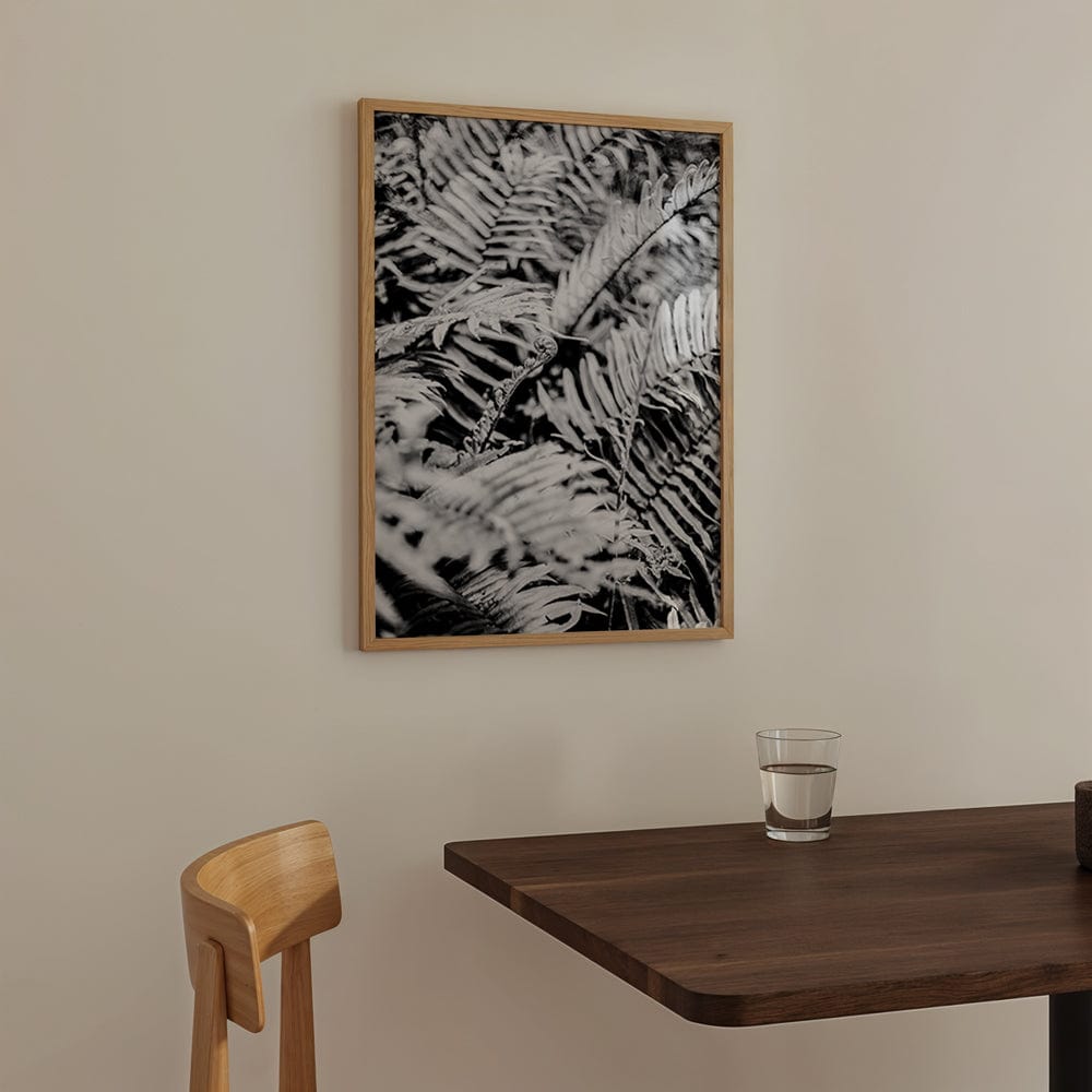 Forest Fern