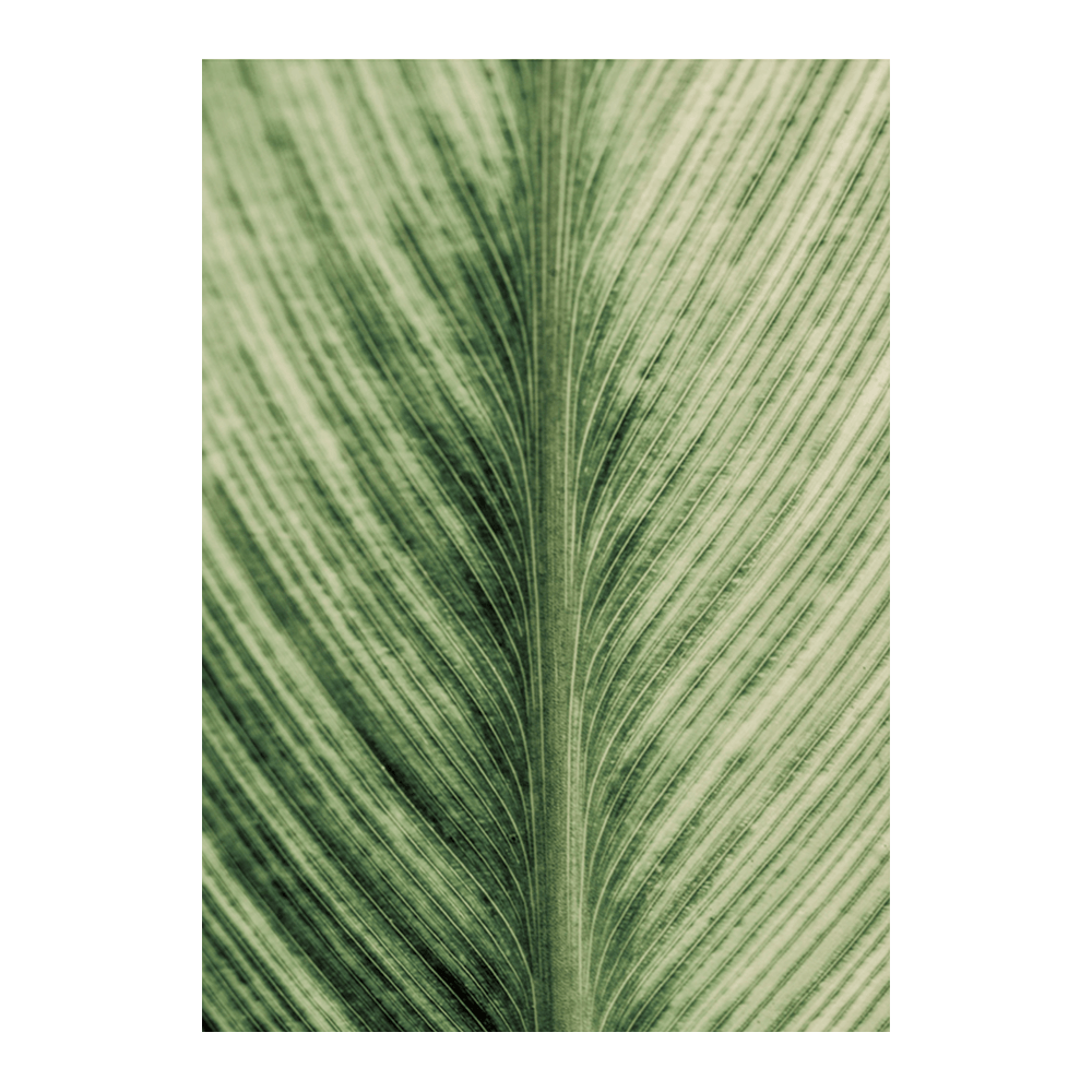 Forest Jewel