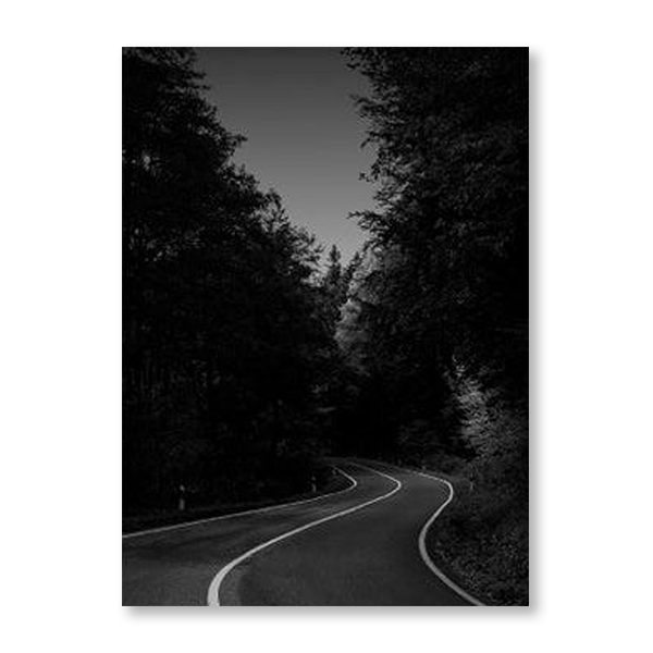 Forest Drive - Jasper & Jute