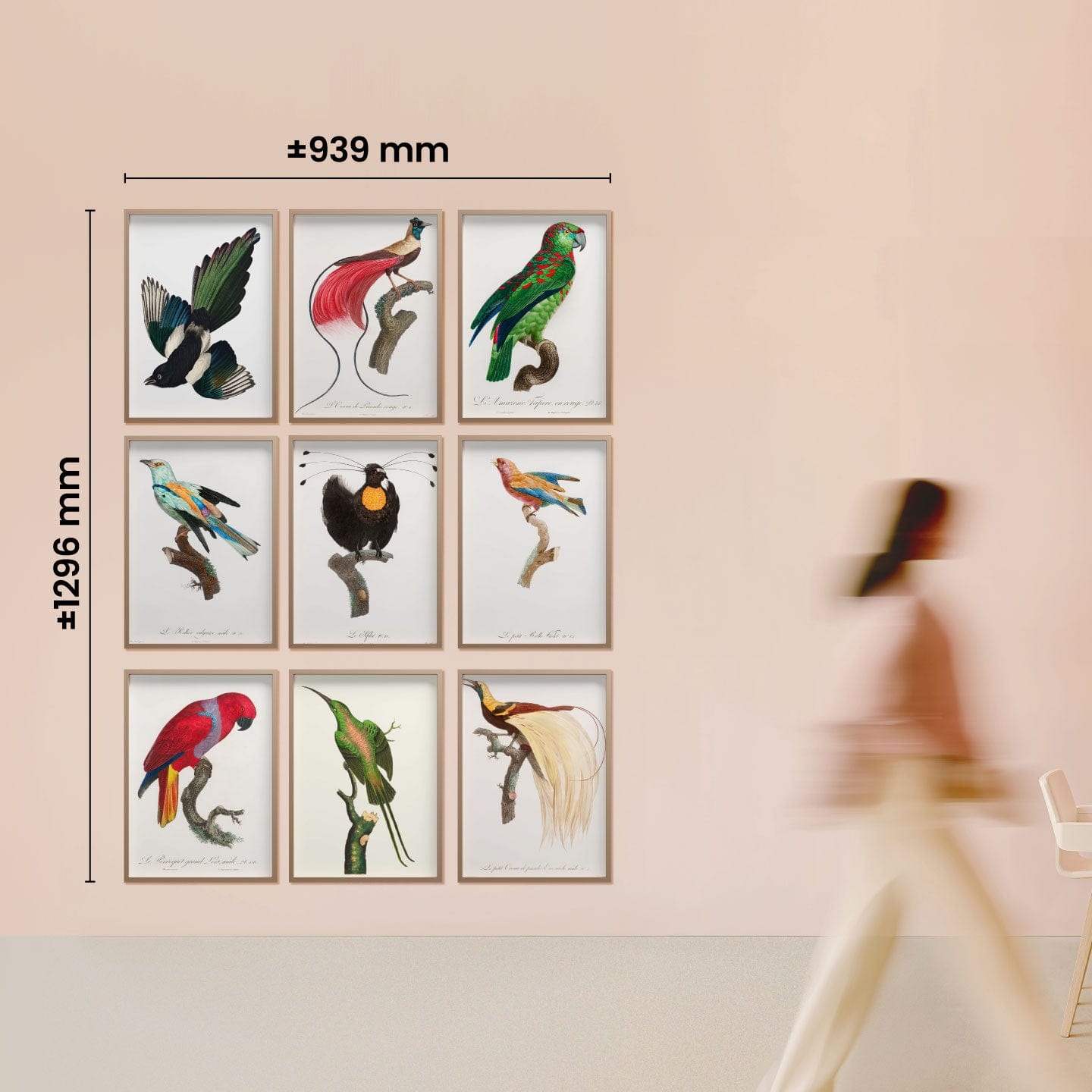 Edit 21: Birds of Paradise