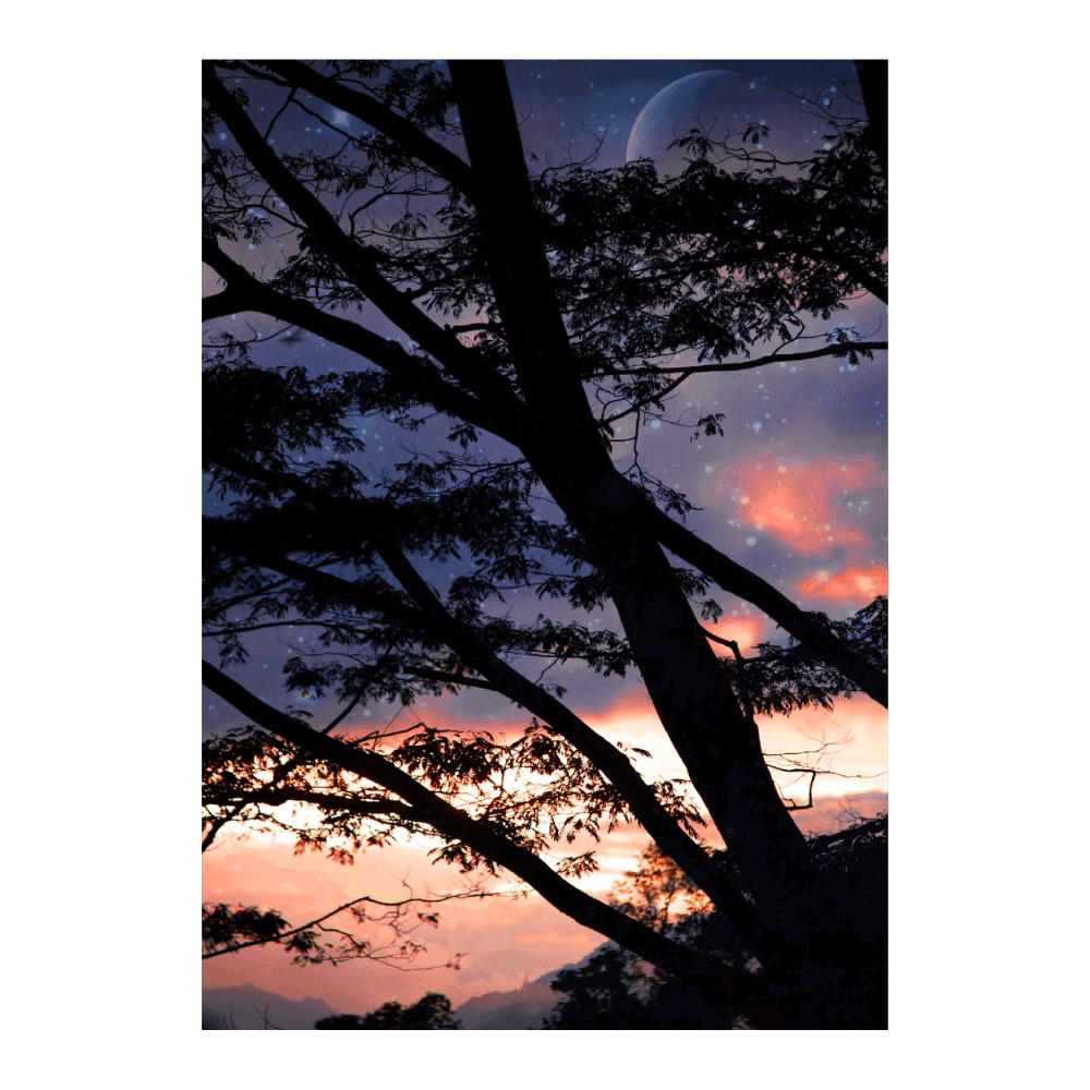 Haunts & Horizons
