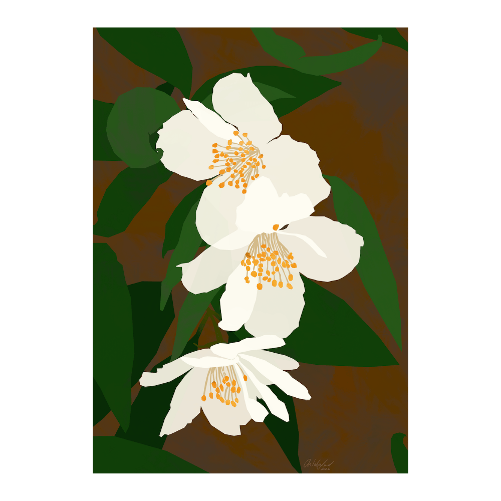 I Dreamed Of Orange Blossoms