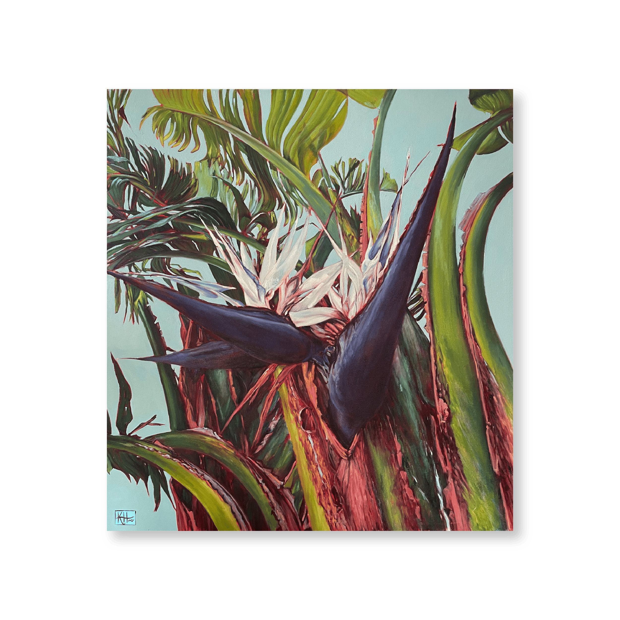 Ikhamanga XIII | Original