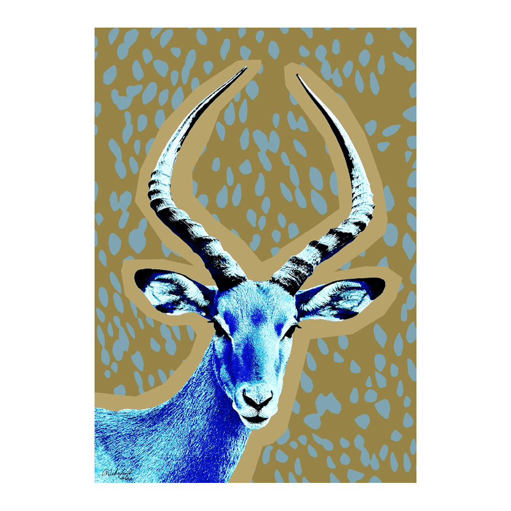 Impala Blue Native Of The Savannahs