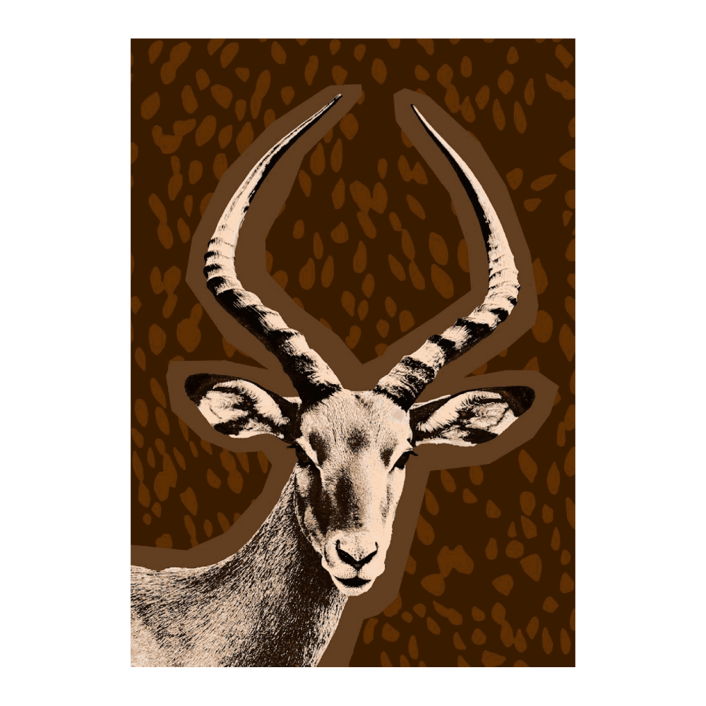 Impala Native Of The Savannahs
