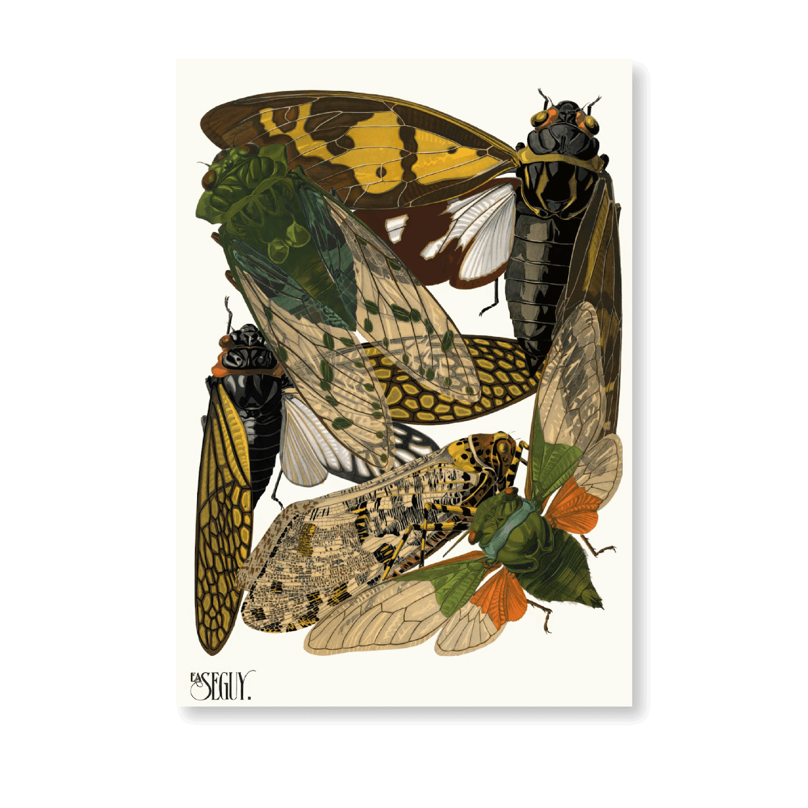 Insectes PI XII - Jasper & Jute