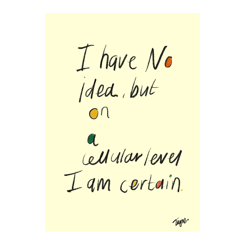Intuition I