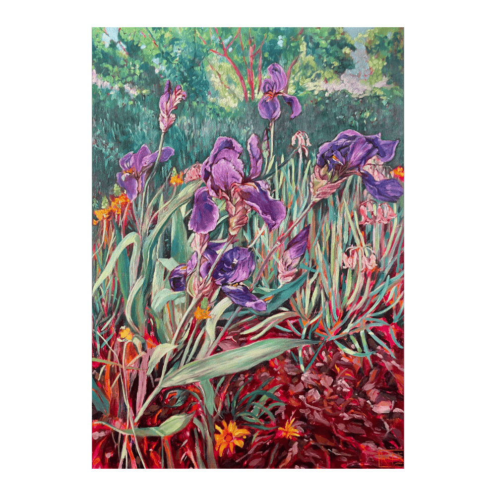 Iris Garden