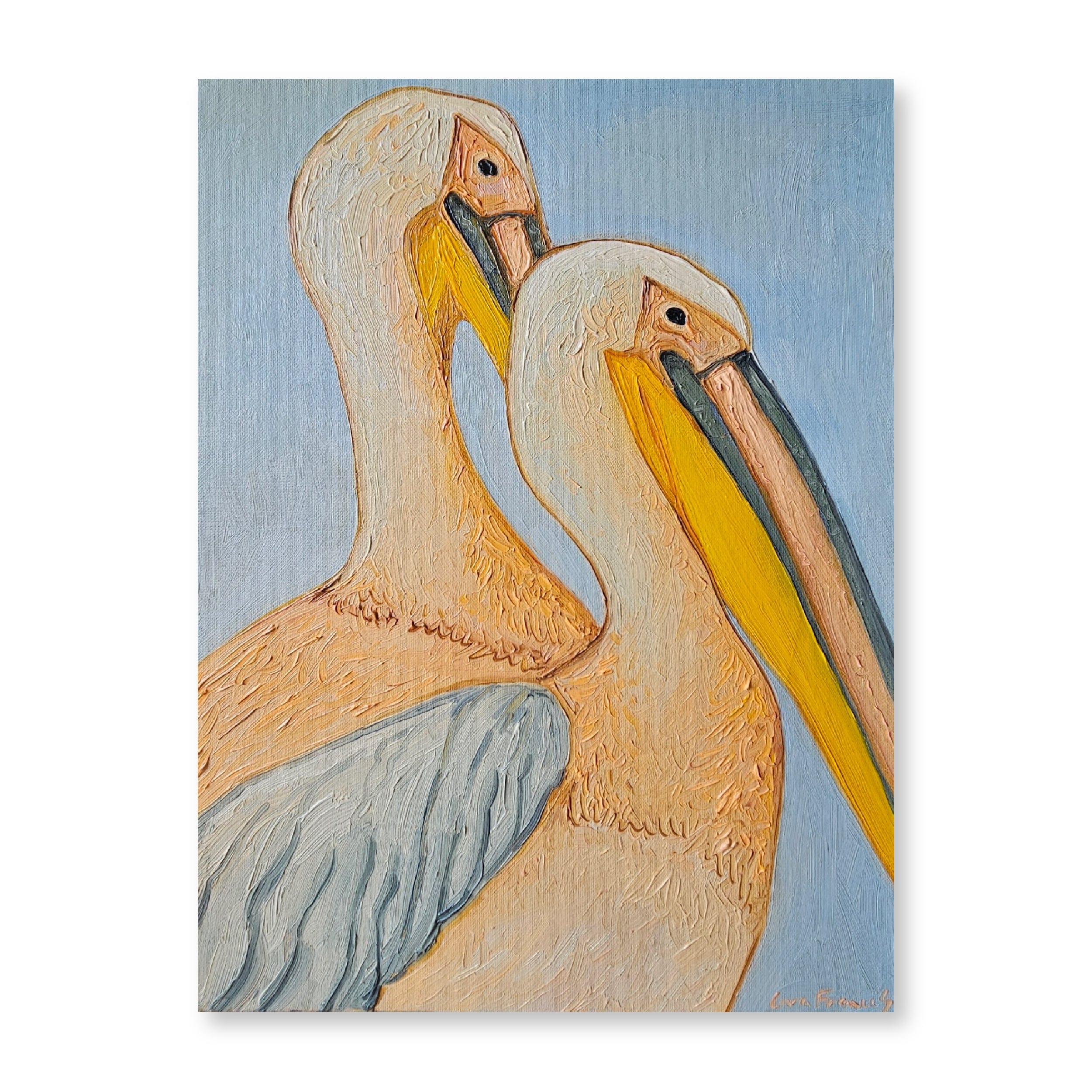 II Pelicans | Original