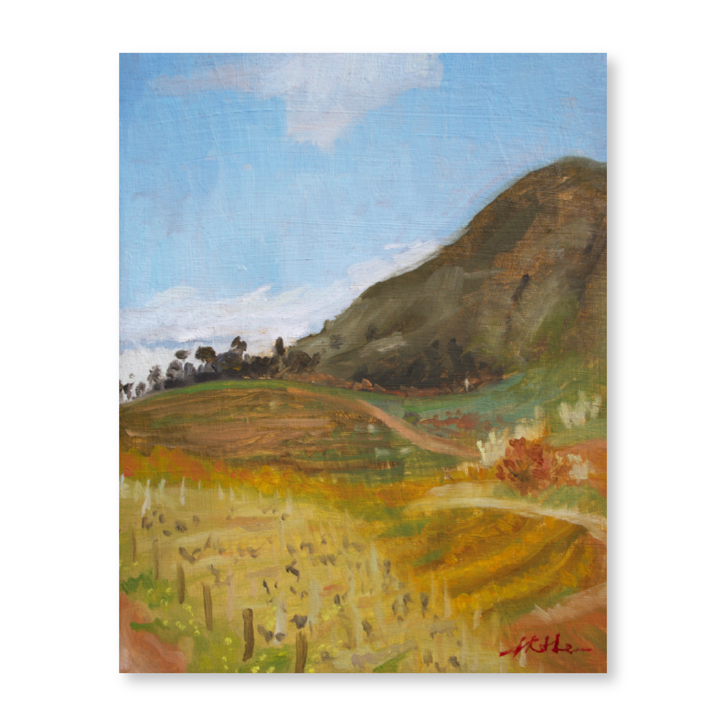 Groot Constantia Valley | Original