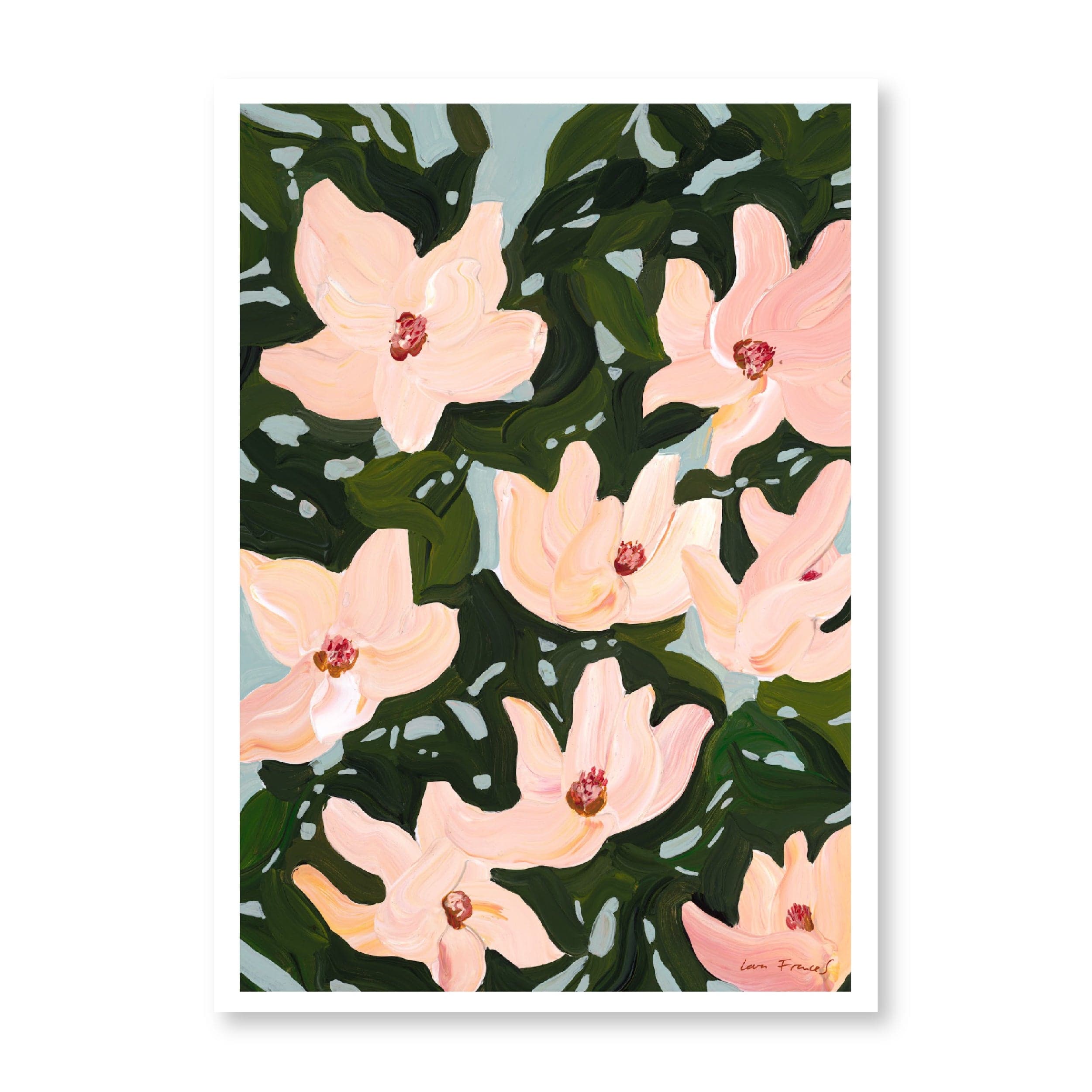 Magnolia II | Original