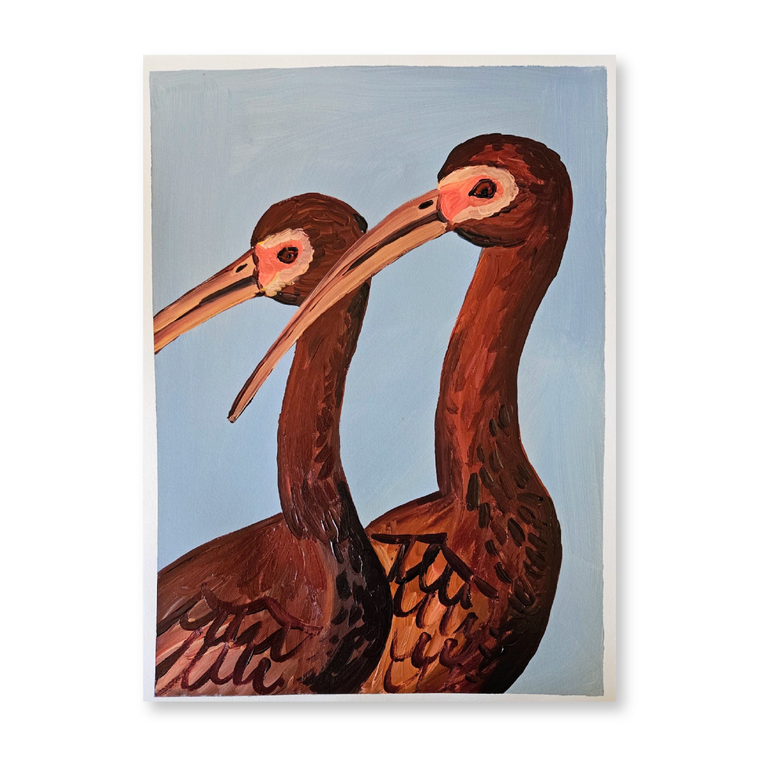 Glossy Ibis | Original