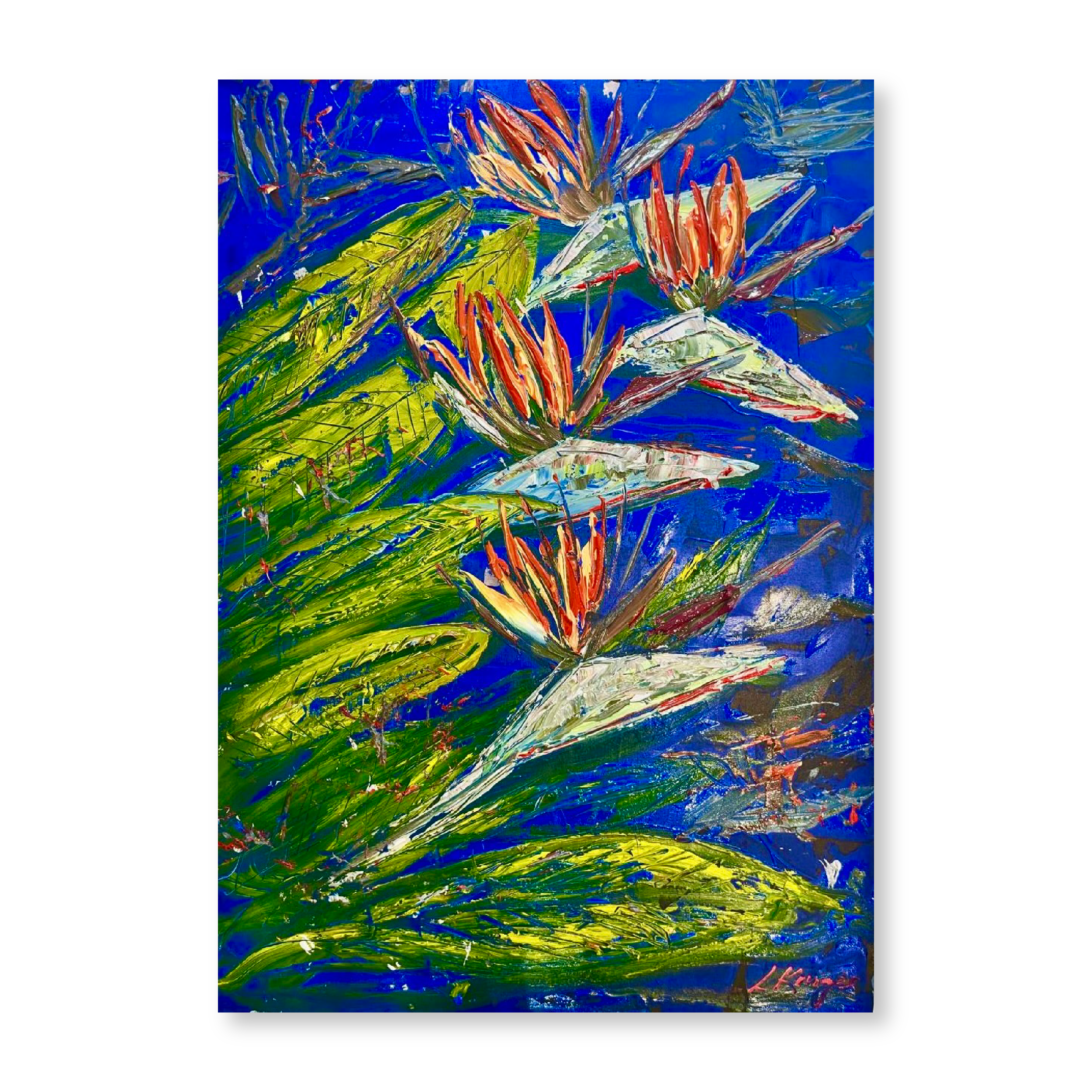 Strelitzias | Original
