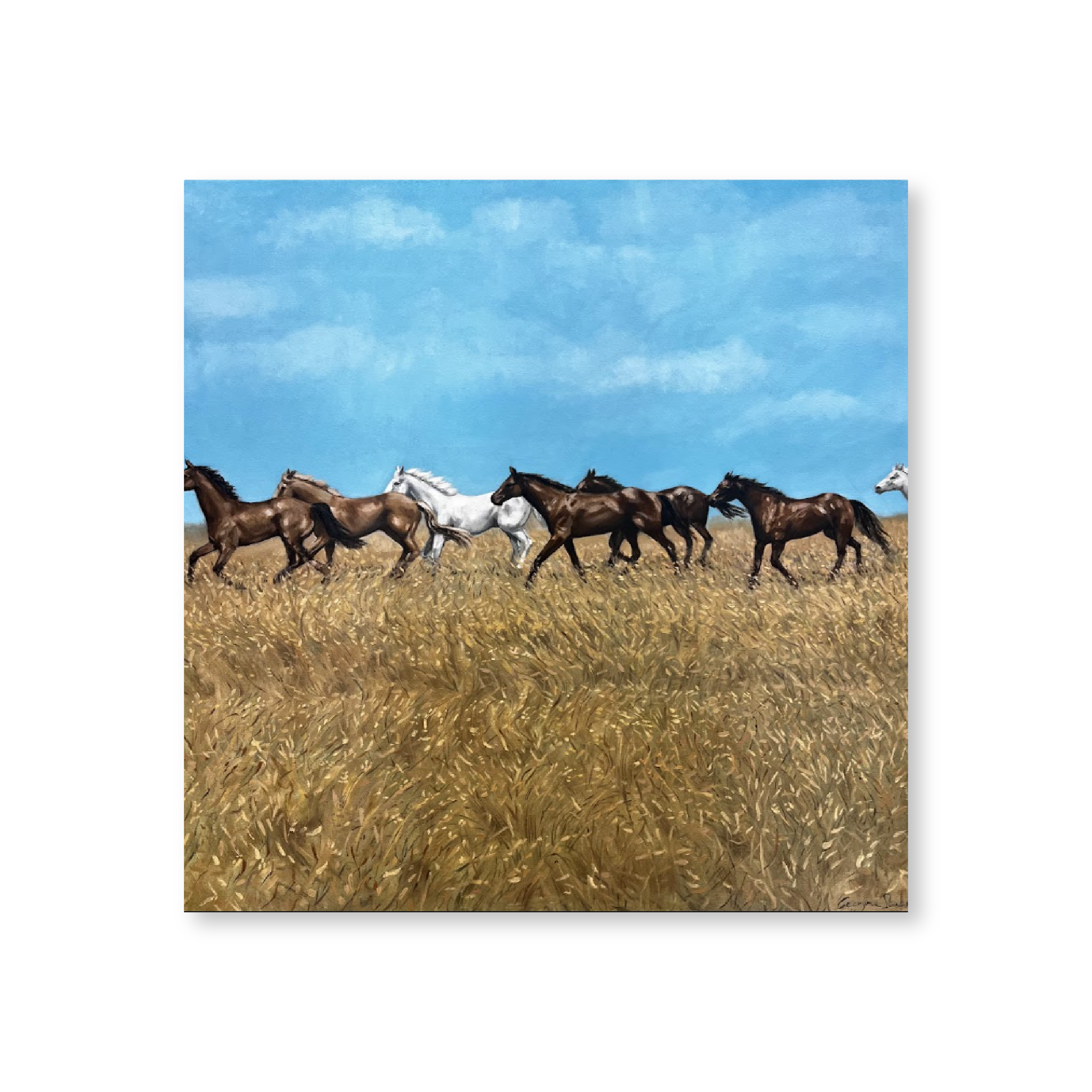 Field Of Horses | Original