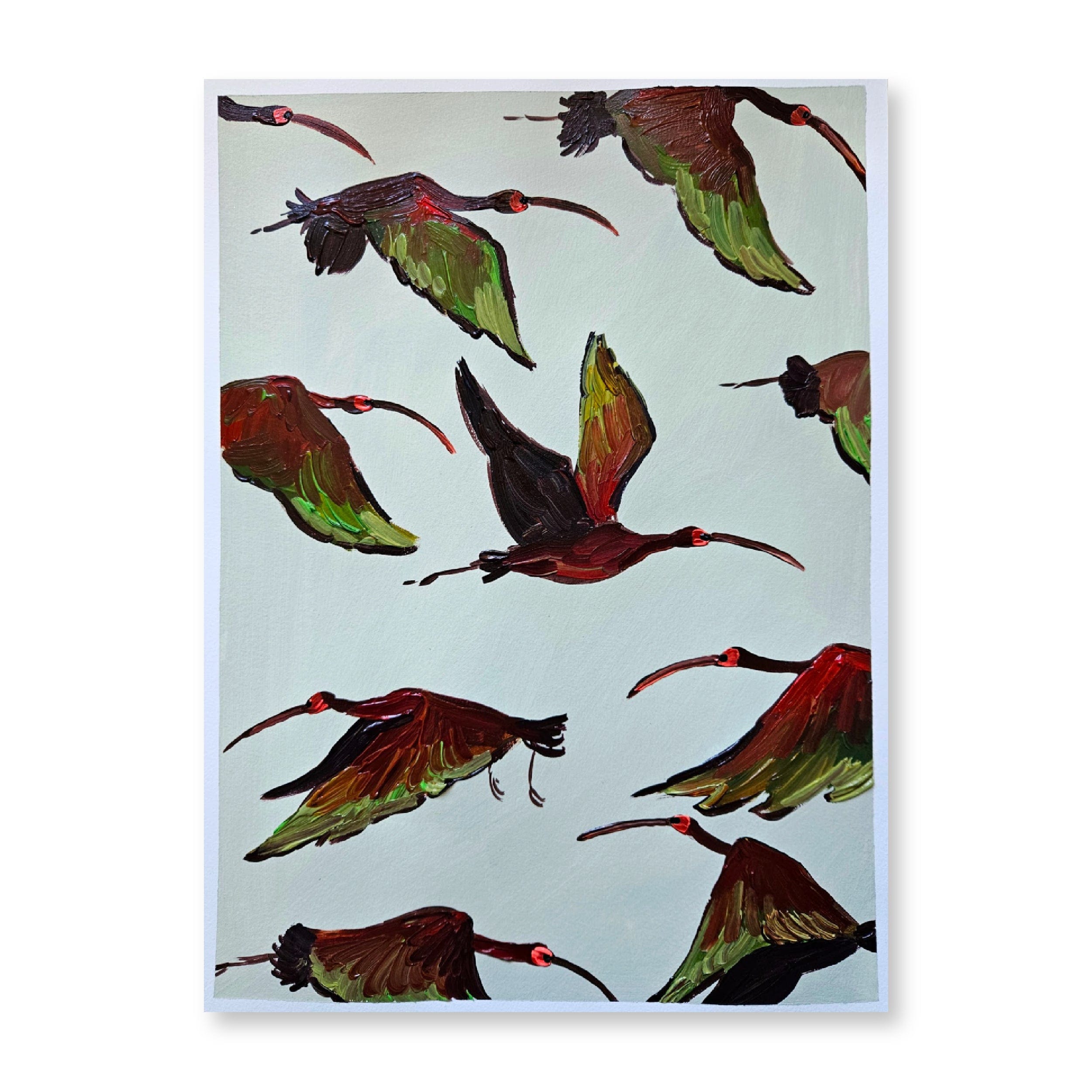 Glossy Ibis in Flight | Original