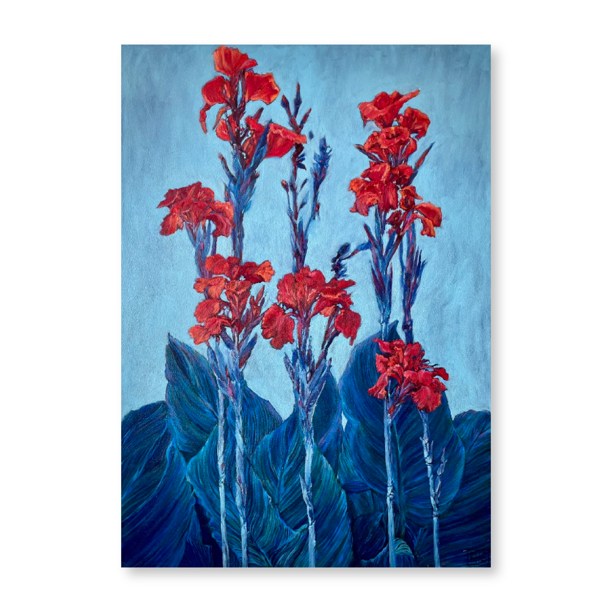 Cannas in Blue | Original