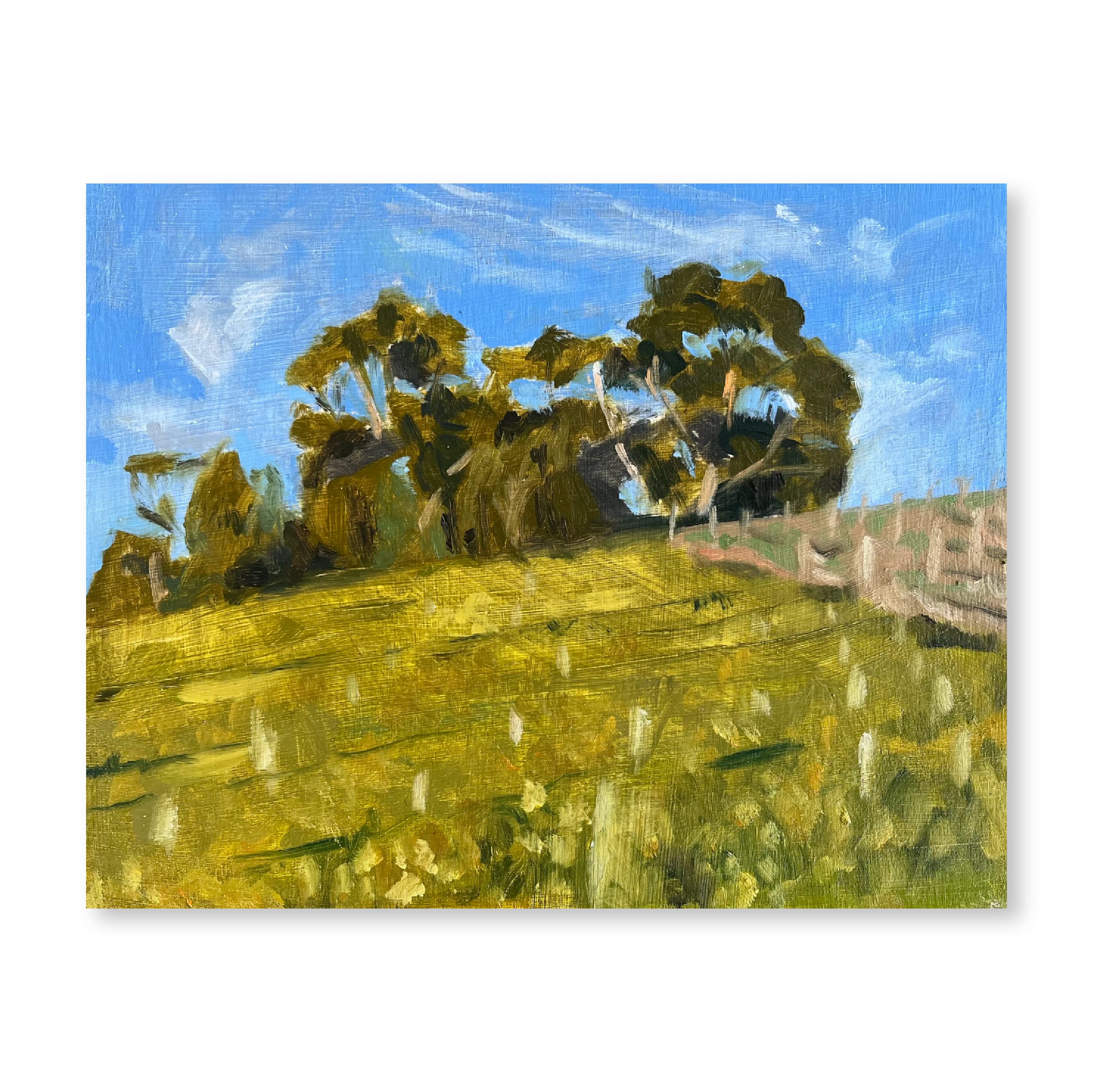 Autumn in Groot Constantia | Original