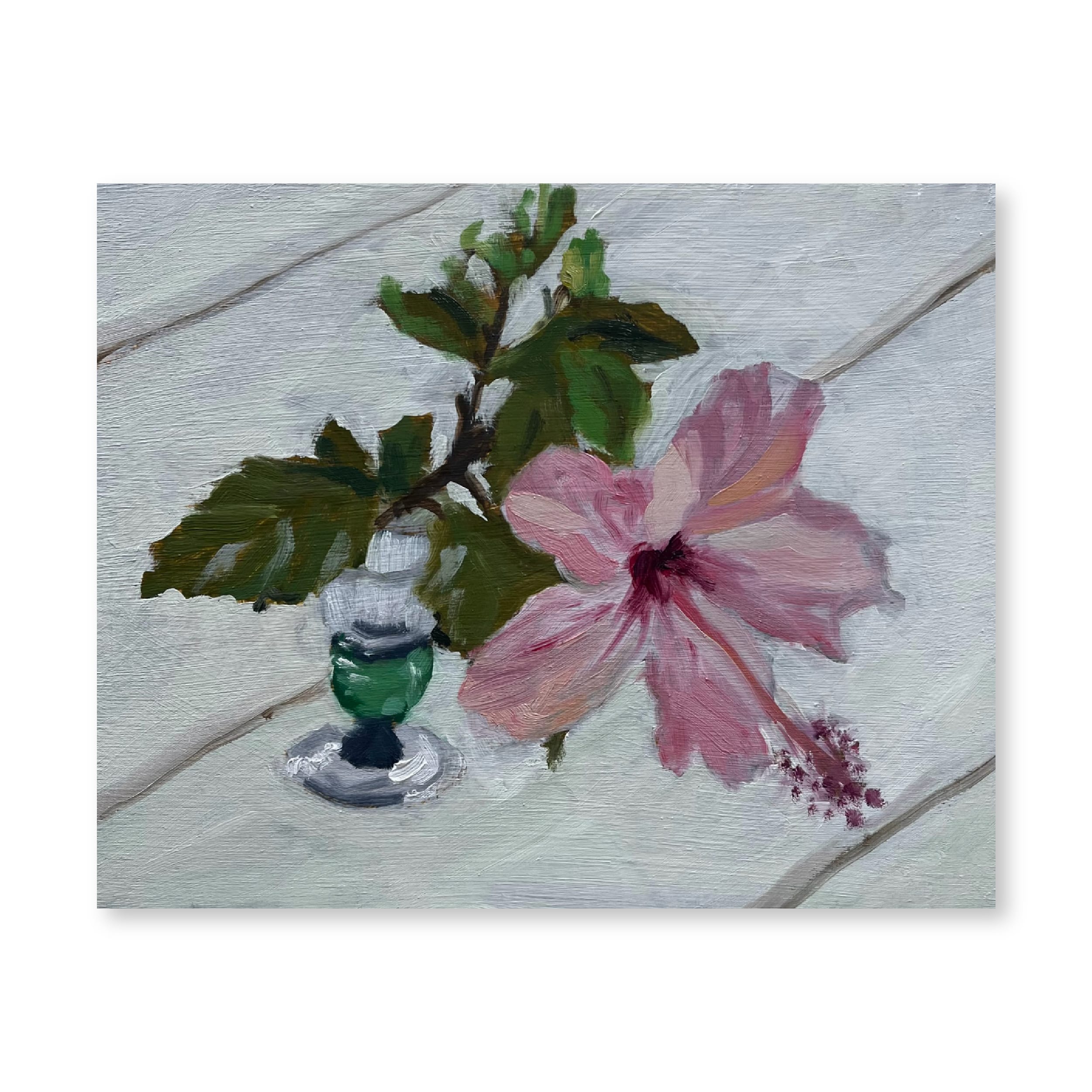 Hibiscus Study | Original