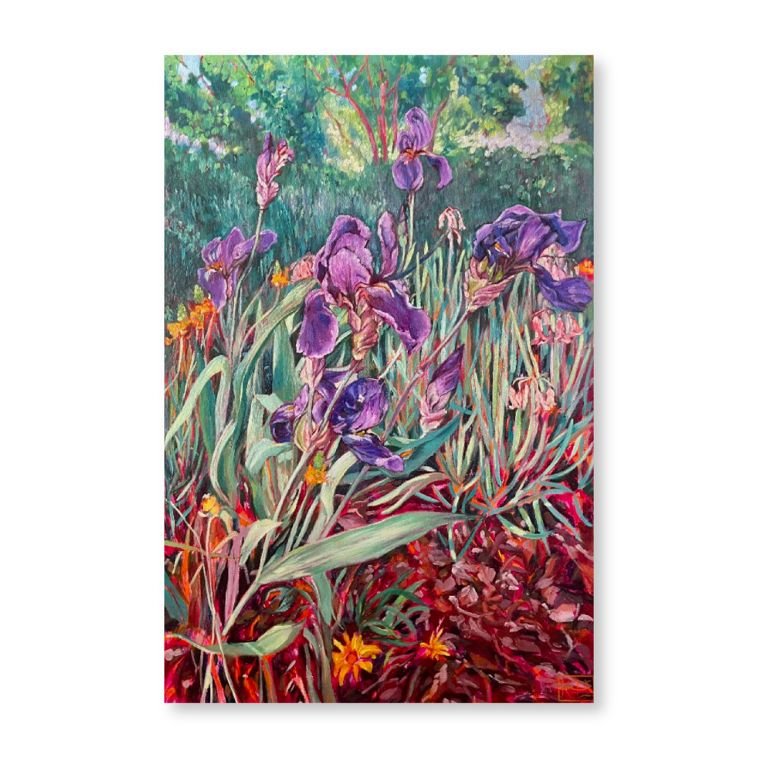 Iris Garden | Original