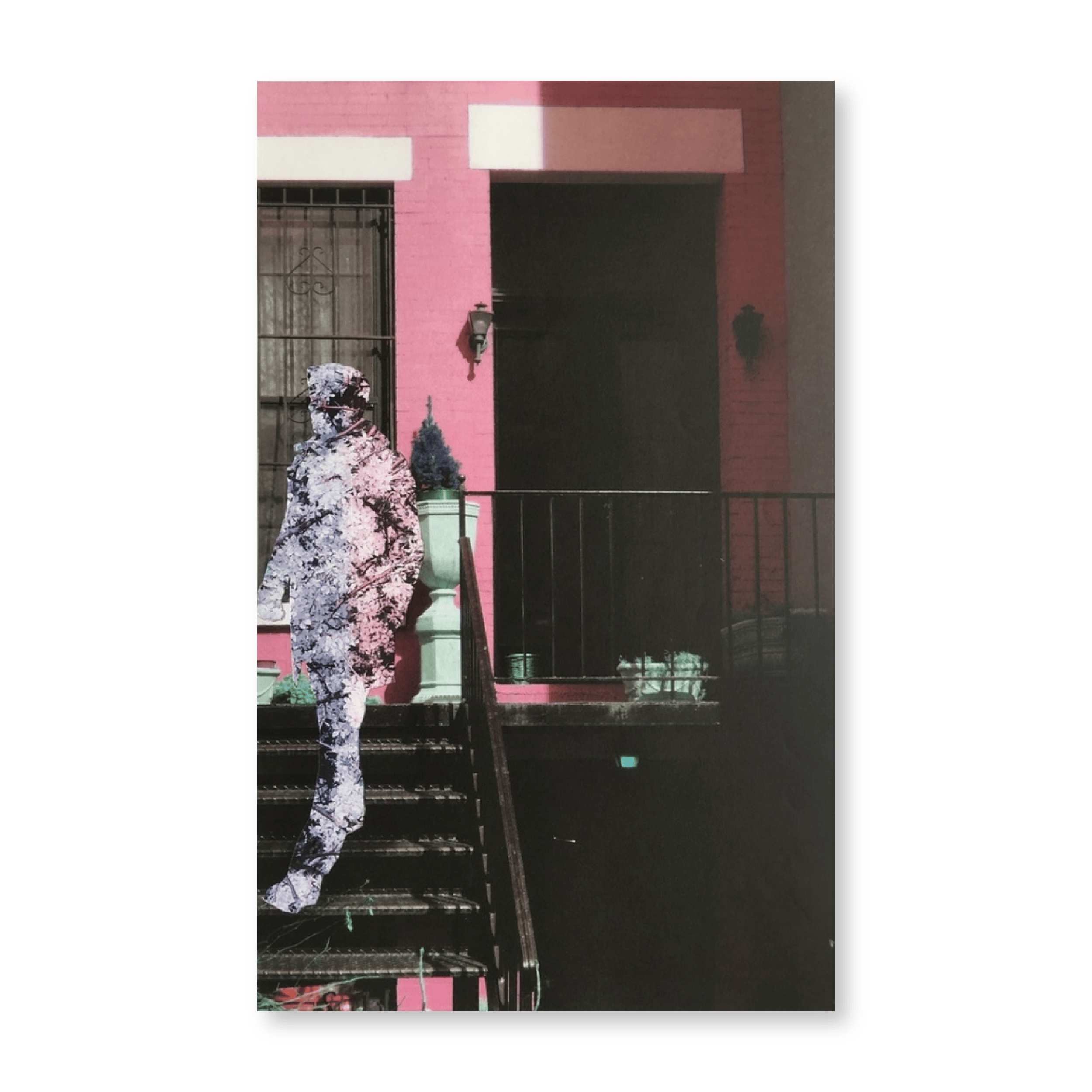 Crop | Original (Vault)