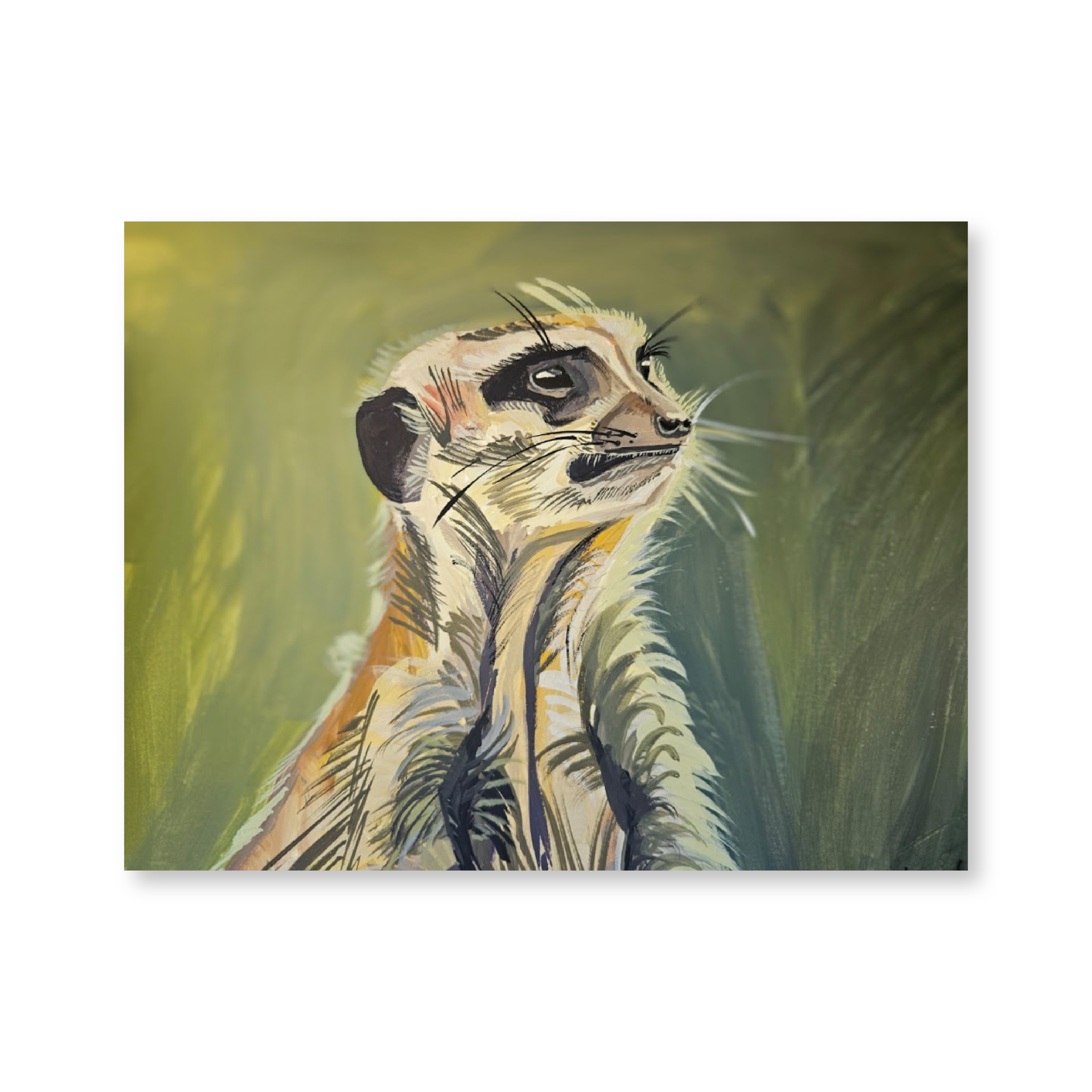 Meerkat | Original