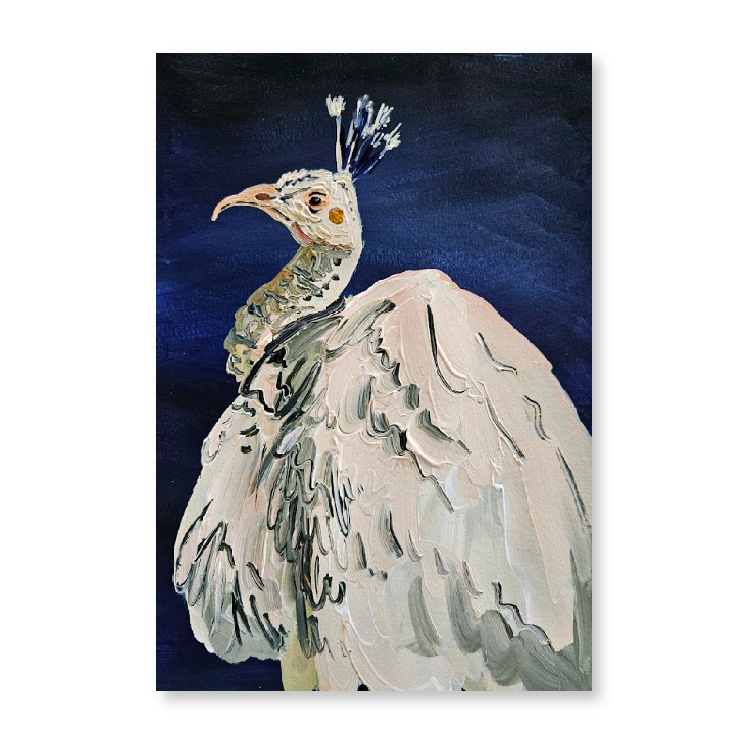 White Peacock | Original