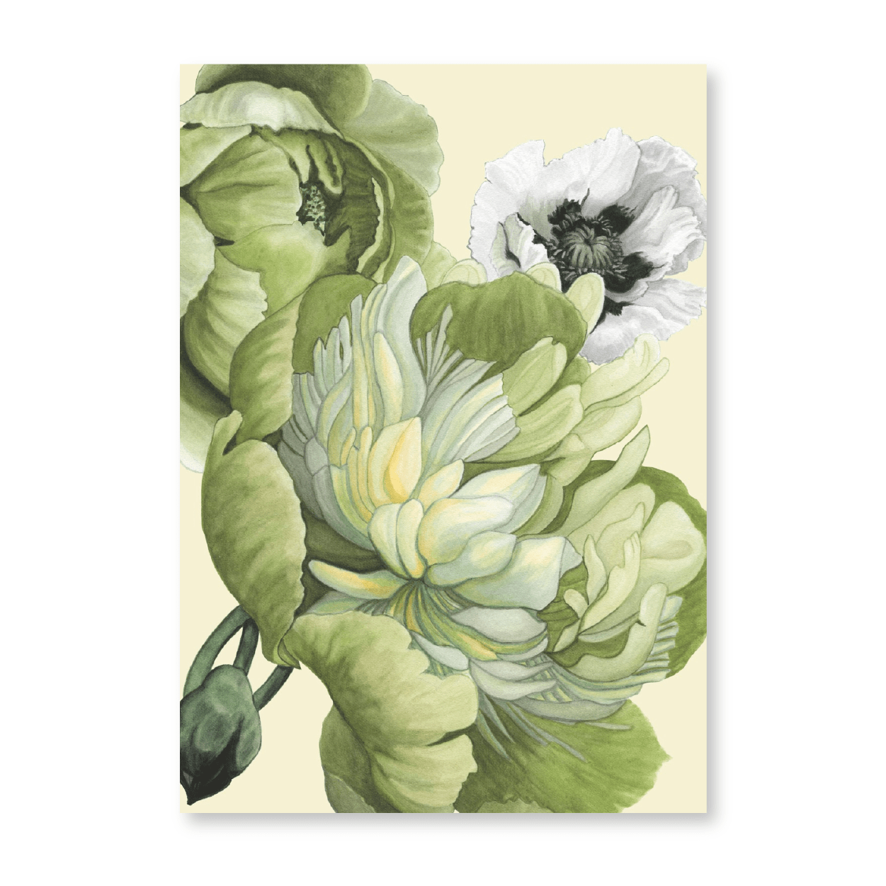 Poppy & Peony Olive & Cream IV