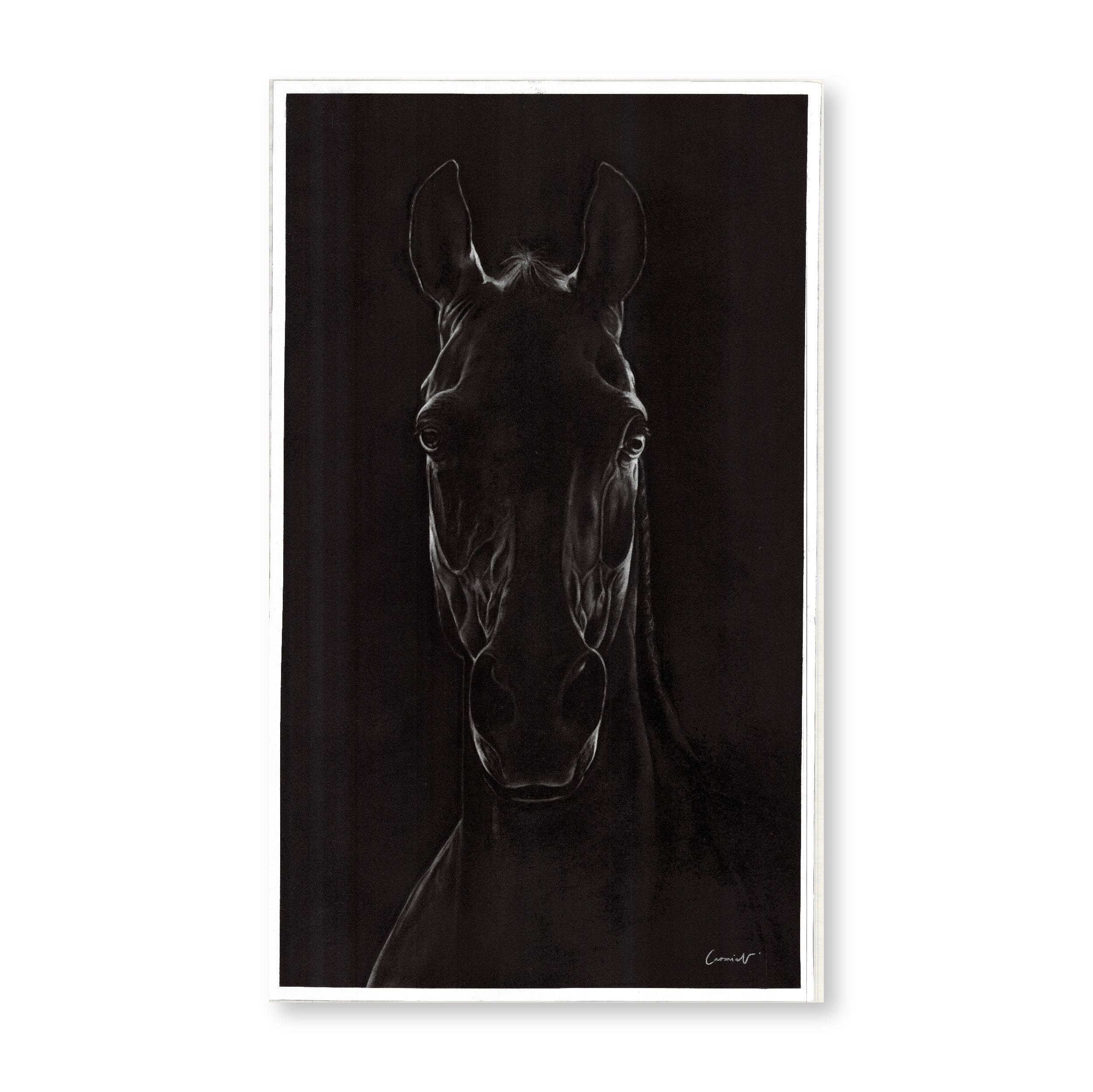 Splendour | Original