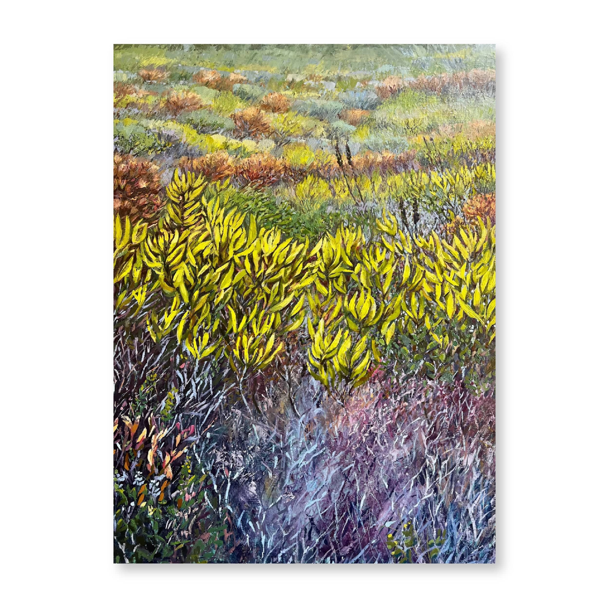 Fynbos | Original