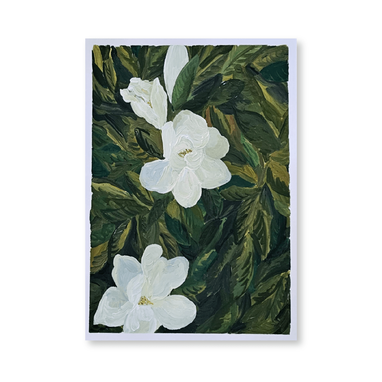 Magnolia II | Original