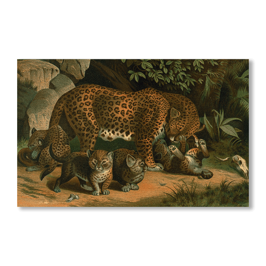 Leopard II - Jasper & Jute