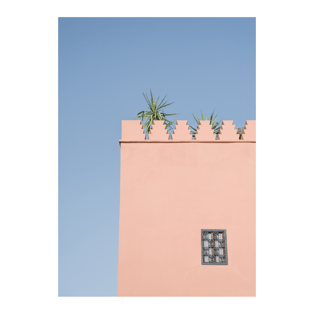 Minimalistic Wall Window Plant