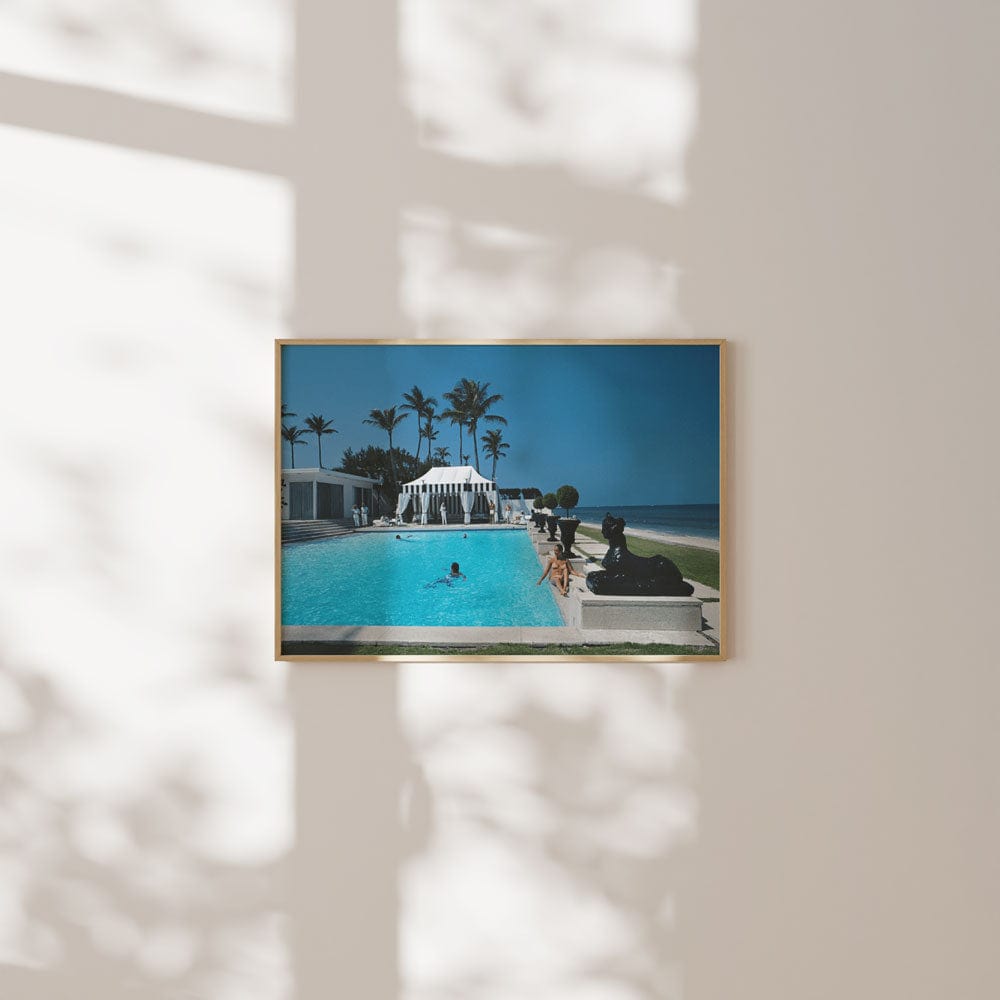 Molly Wilmot's Pool
